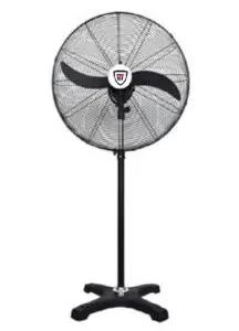 FAN